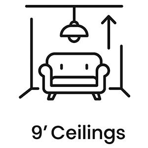 Raised Ceilings (9')